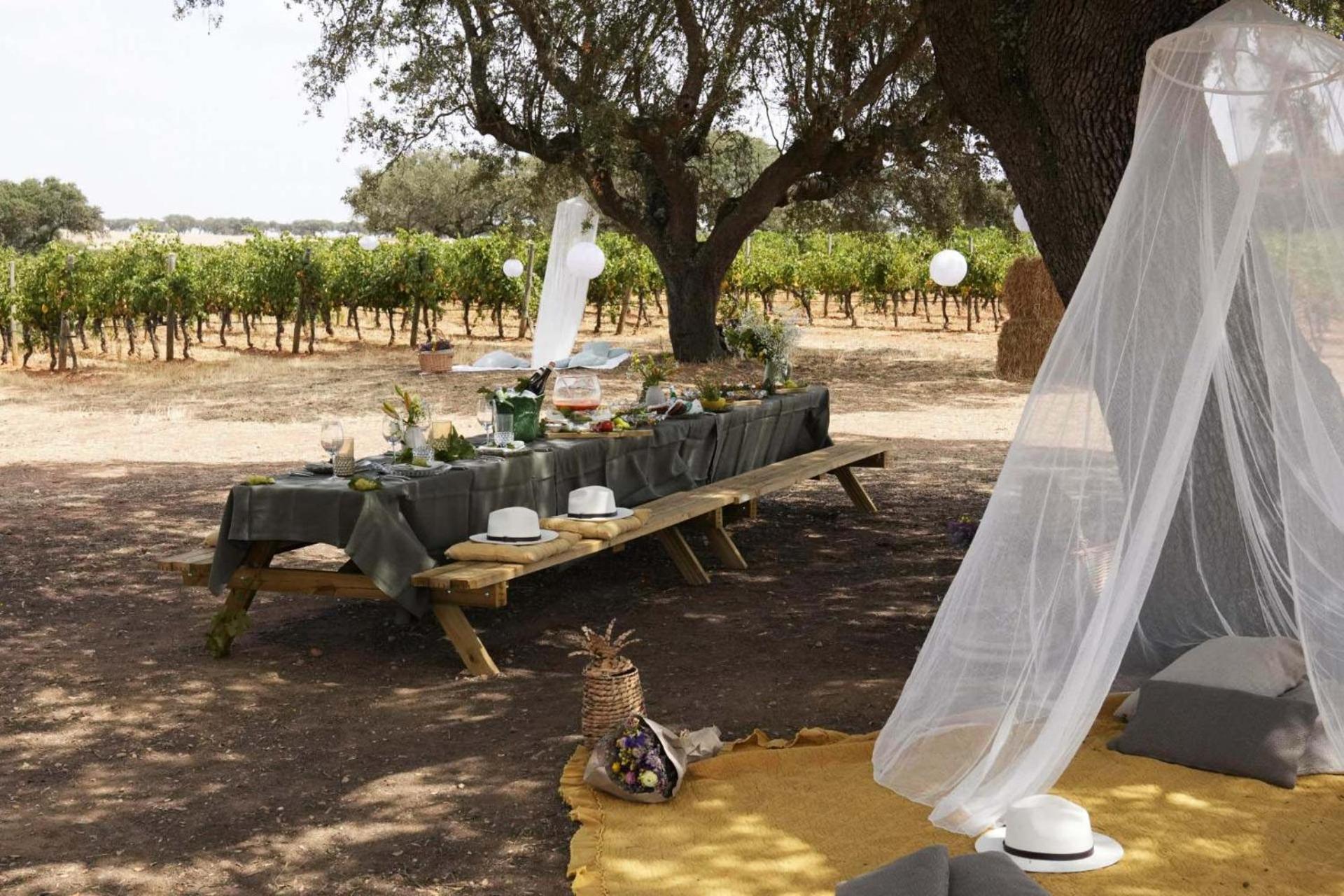 Herdade Da Malhadinha Nova - Relais & Chateaux Albernoa Exterior photo